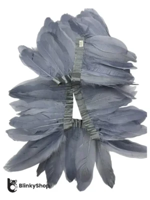 Pene porumbel banda gri (3)