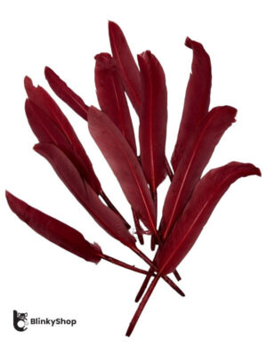 Pene porumbel individuale grena