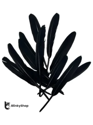 Pene porumbel individuale negre