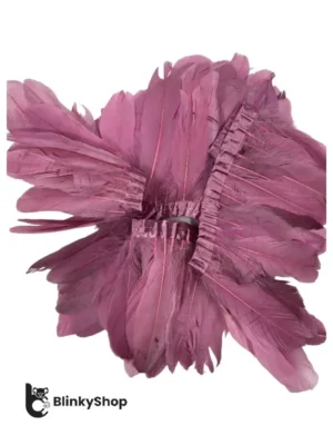 Pene porumbel banda plamaniu (2)