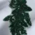 Verde închis
